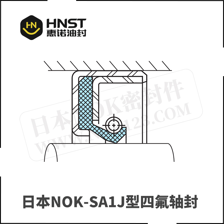 SA1J型四氟油封-日本NOK密封圈