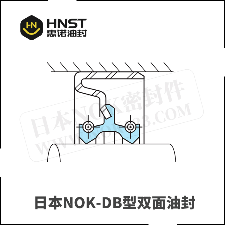 DB型双面骨架油封-日本NOK密封圈