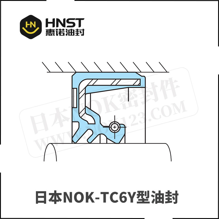TC6Y浓尘油封-日本NOK油封销售商