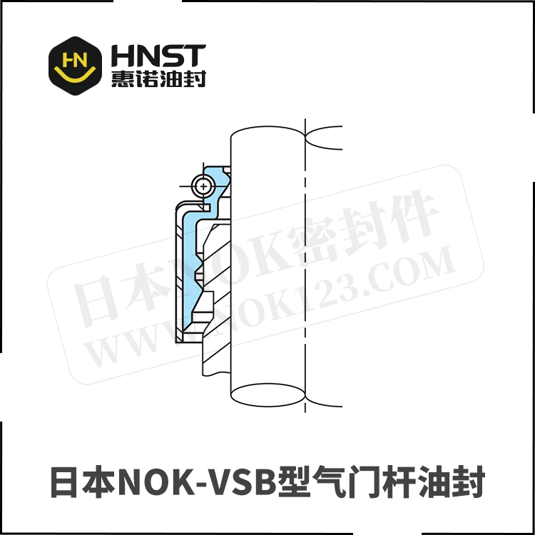 VSB气门杆油封-日本NOK密封件中国销售商