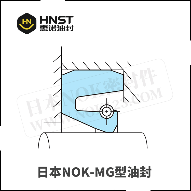 日本NOK品牌MG油封截面图