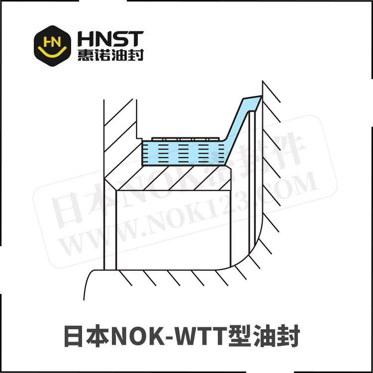 日本NOK品牌WTT密封件截面图