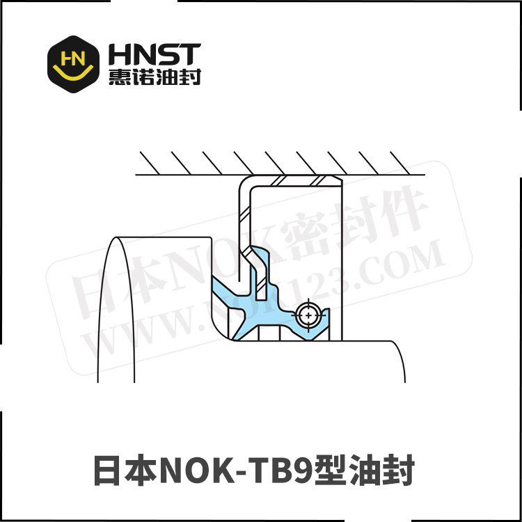 日本NOK密封件TB9油封截面图